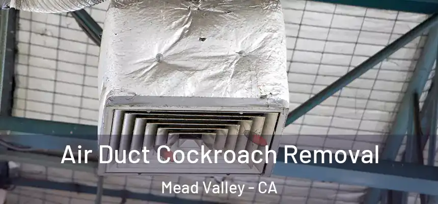 Air Duct Cockroach Removal Mead Valley - CA