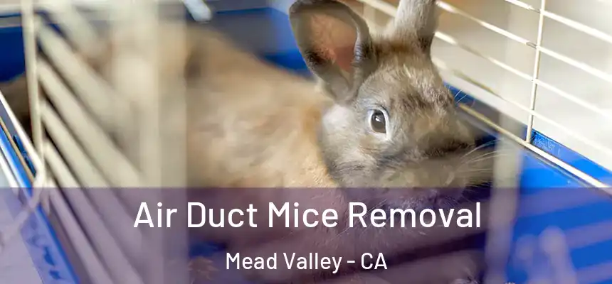 Air Duct Mice Removal Mead Valley - CA