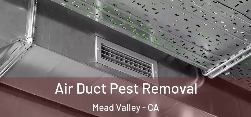 Air Duct Pest Removal Mead Valley - CA
