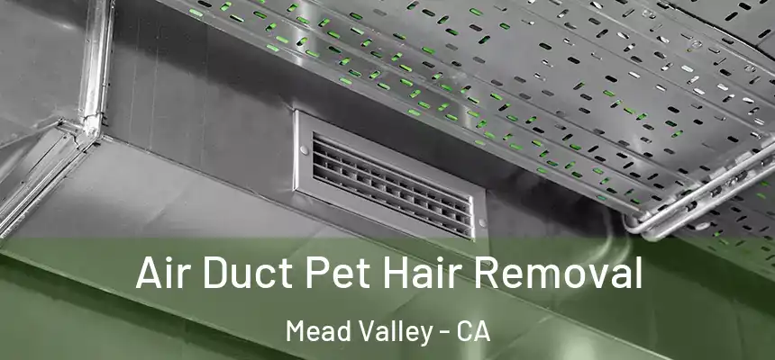 Air Duct Pet Hair Removal Mead Valley - CA