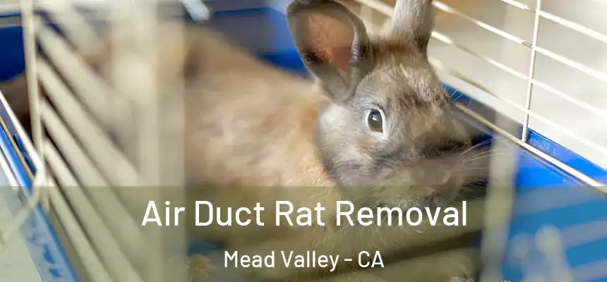 Air Duct Rat Removal Mead Valley - CA