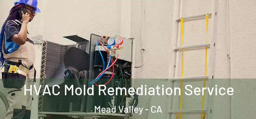 HVAC Mold Remediation Service Mead Valley - CA