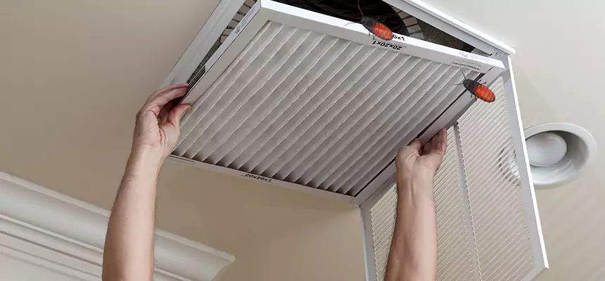 Preventive Cockroach-Proofing for Ducts in Mead Valley