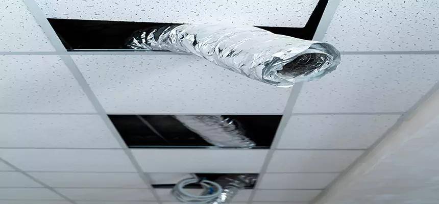 Affordable HVAC Sanitizing After Pest Removal in Mead Valley