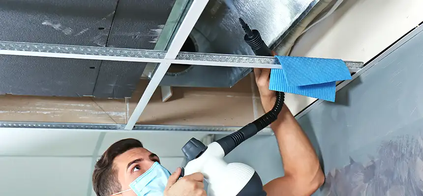 Our Air Duct Rodent Removal Services in Mead Valley, CA