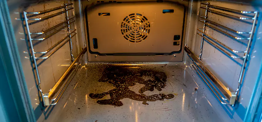 Our Dryer Vent Mold Cleaning Services in Mead Valley, CA