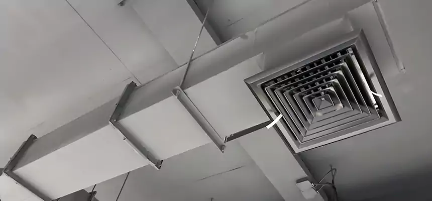 Our Rodent Droppings In Vents Services in Mead Valley, CA