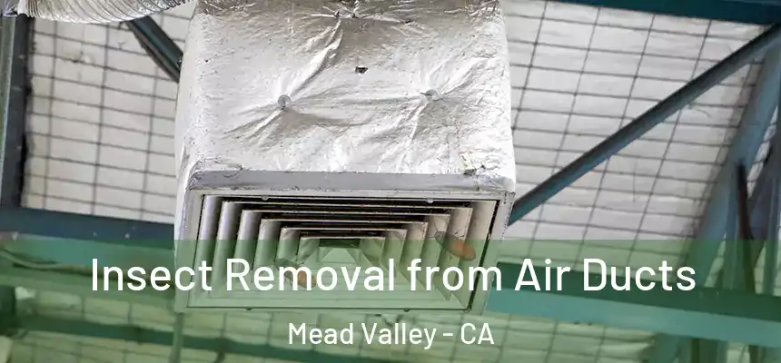 Insect Removal from Air Ducts Mead Valley - CA