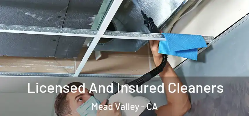 Licensed And Insured Cleaners Mead Valley - CA