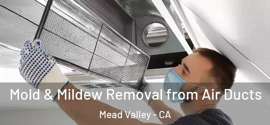 Mold & Mildew Removal from Air Ducts Mead Valley - CA