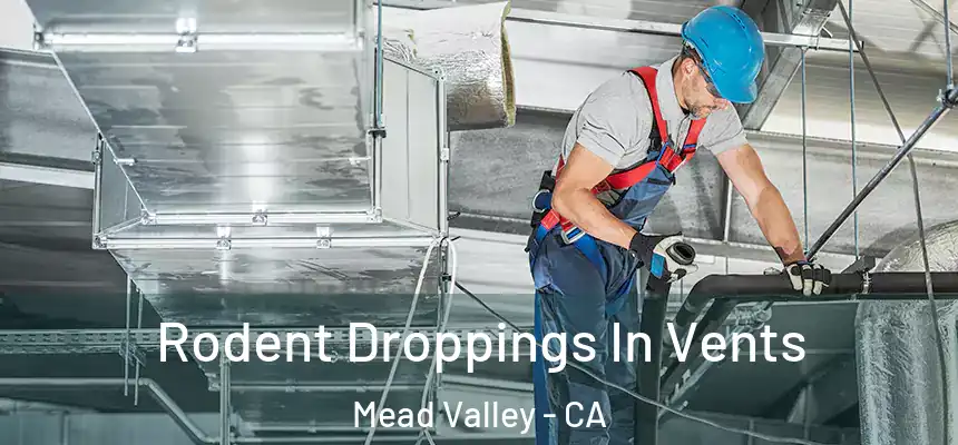 Rodent Droppings In Vents Mead Valley - CA