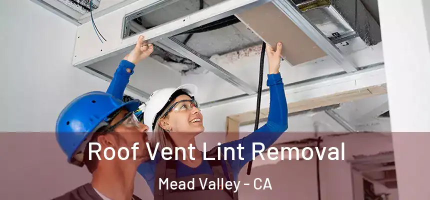 Roof Vent Lint Removal Mead Valley - CA