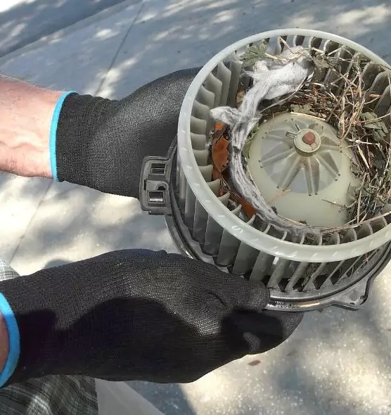 About Air Duct Mice Removal in Mead Valley, CA