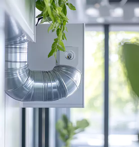 Professional Eco-Friendly Duct Cleaning Services in Mead Valley, CA