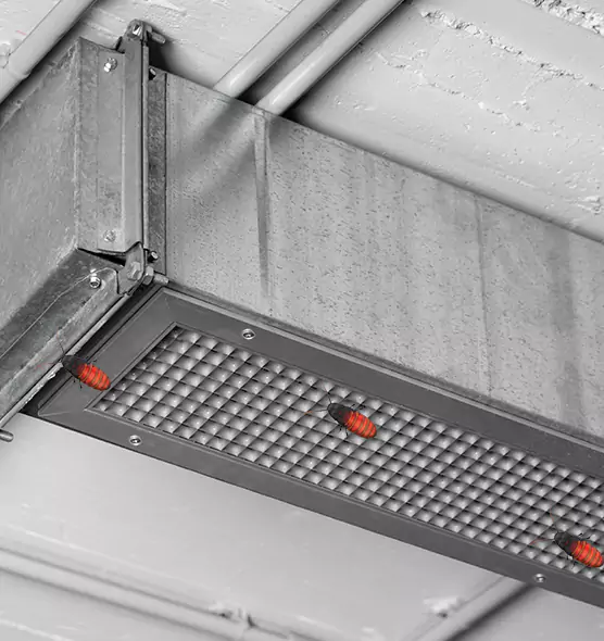 Affordable Insect Removal from Air Ducts in Mead Valley, CA