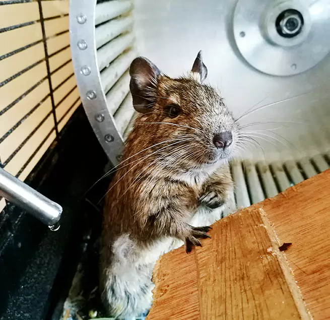 Why Homeowners & Businesses Trust Us Mead Valley, CA