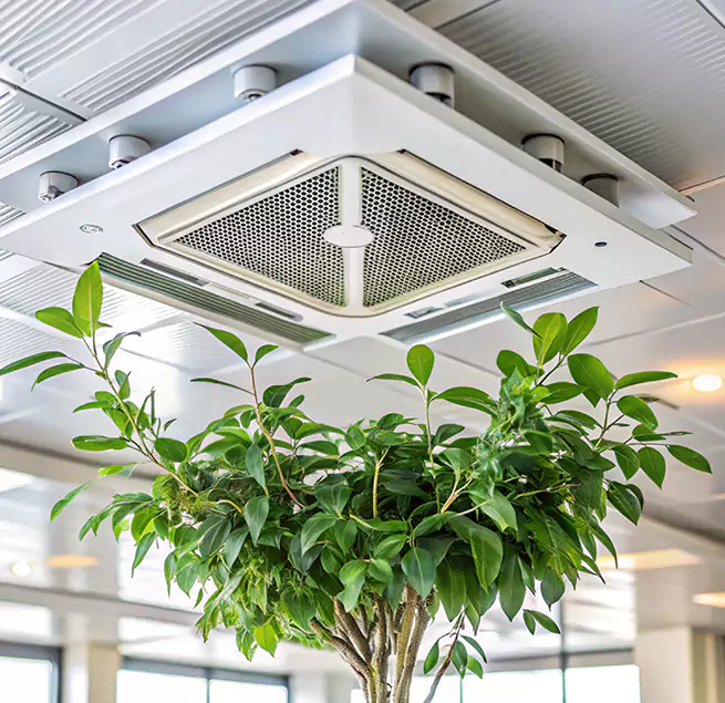 Why Homeowners & Businesses Trust Us in Mead Valley, CA?