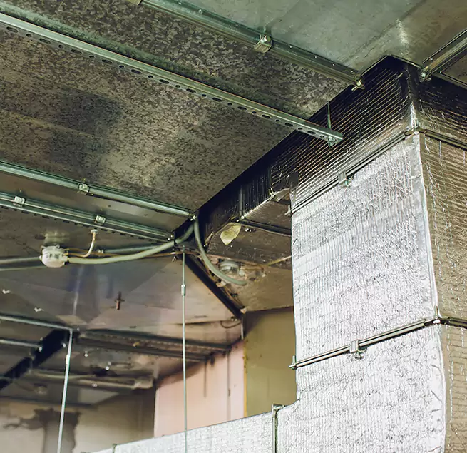 Why Homeowners & Businesses Trust Us in Mead Valley, CA?